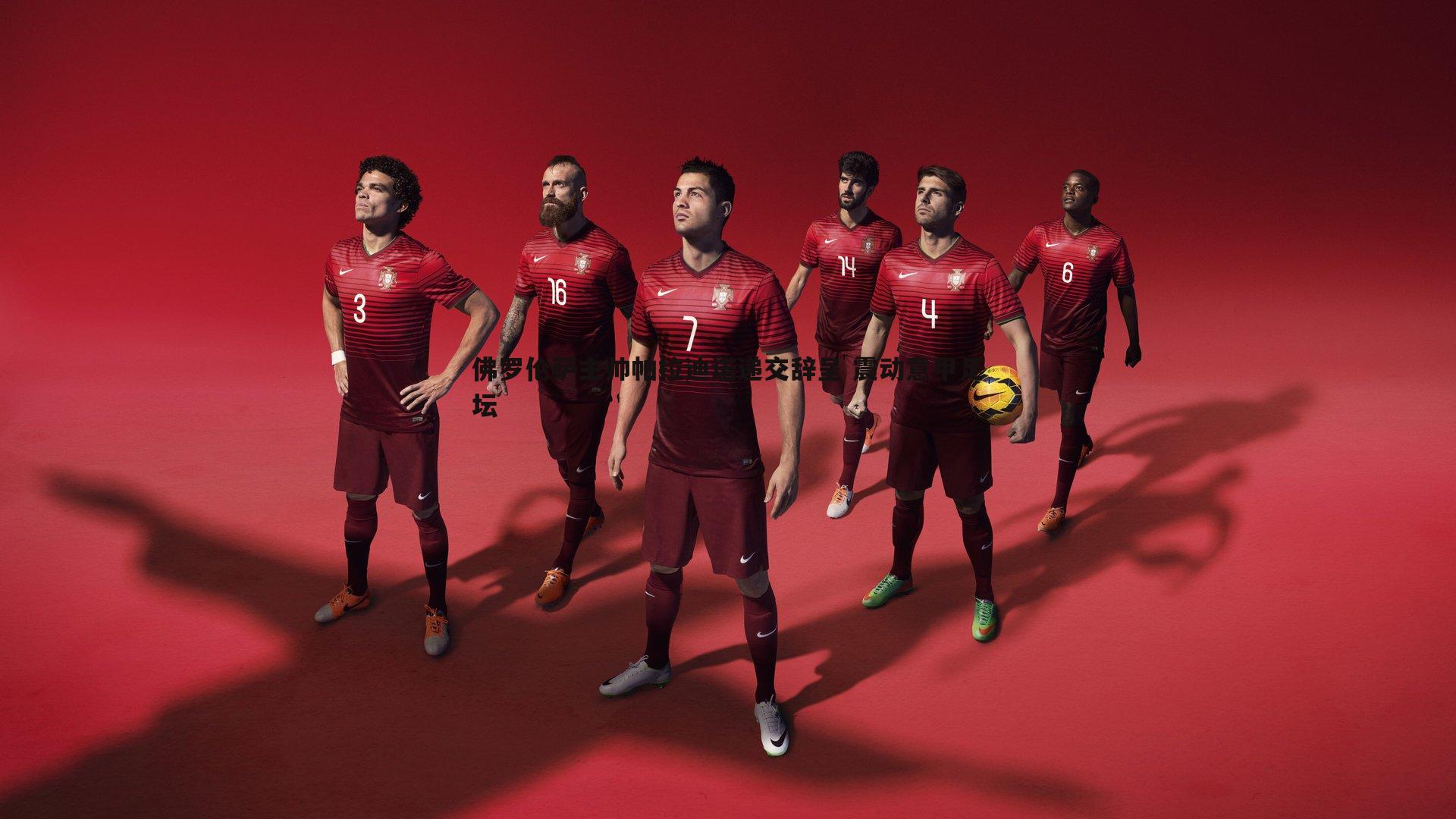 佛罗伦萨主帅帕拉迪诺递交辞呈 震动意甲足坛